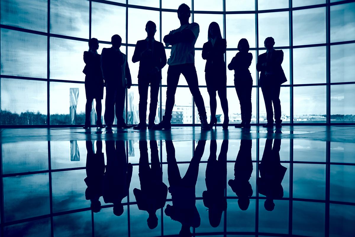 About MT Network